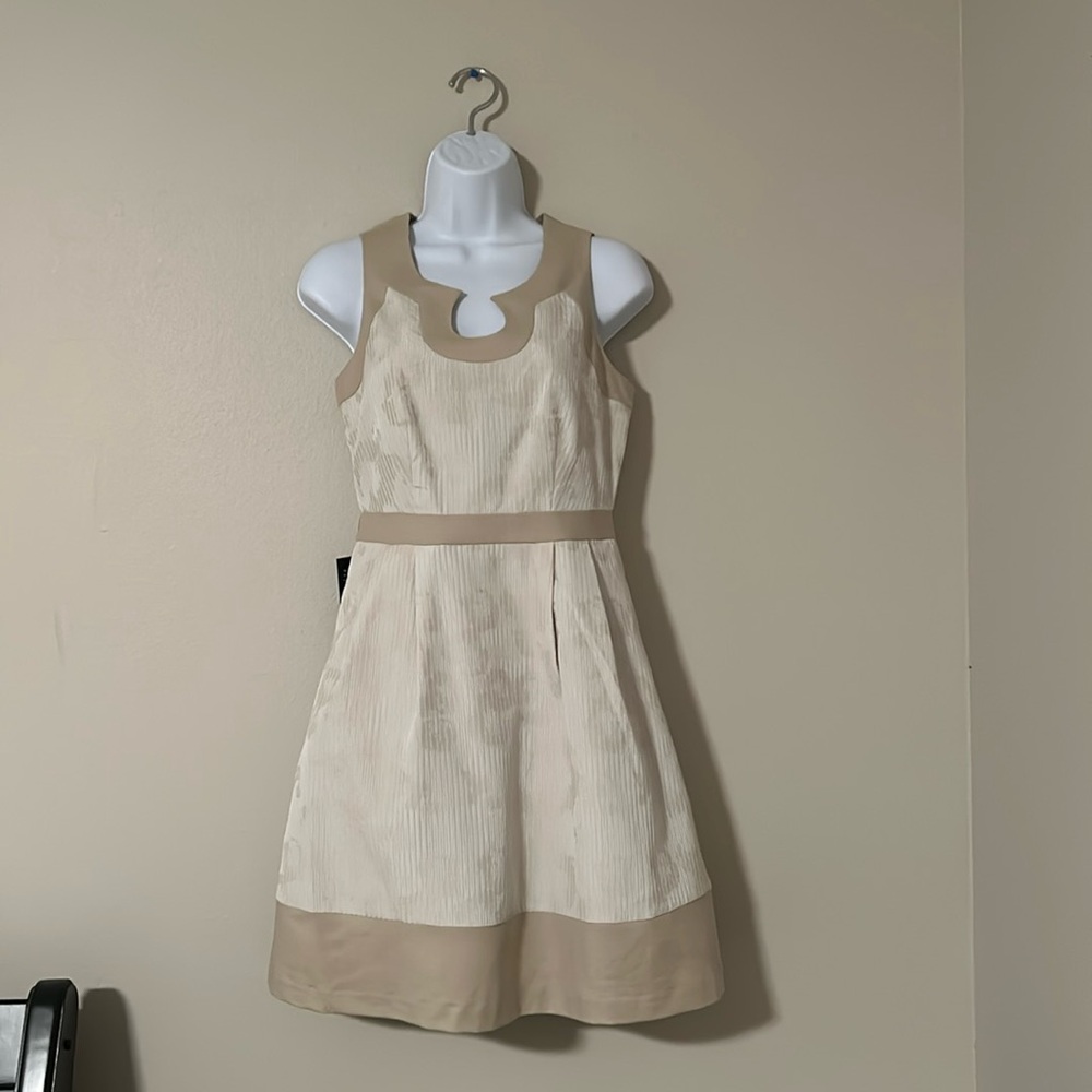 The Limeted | Dress